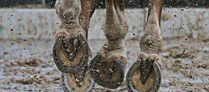 Muddy conditions