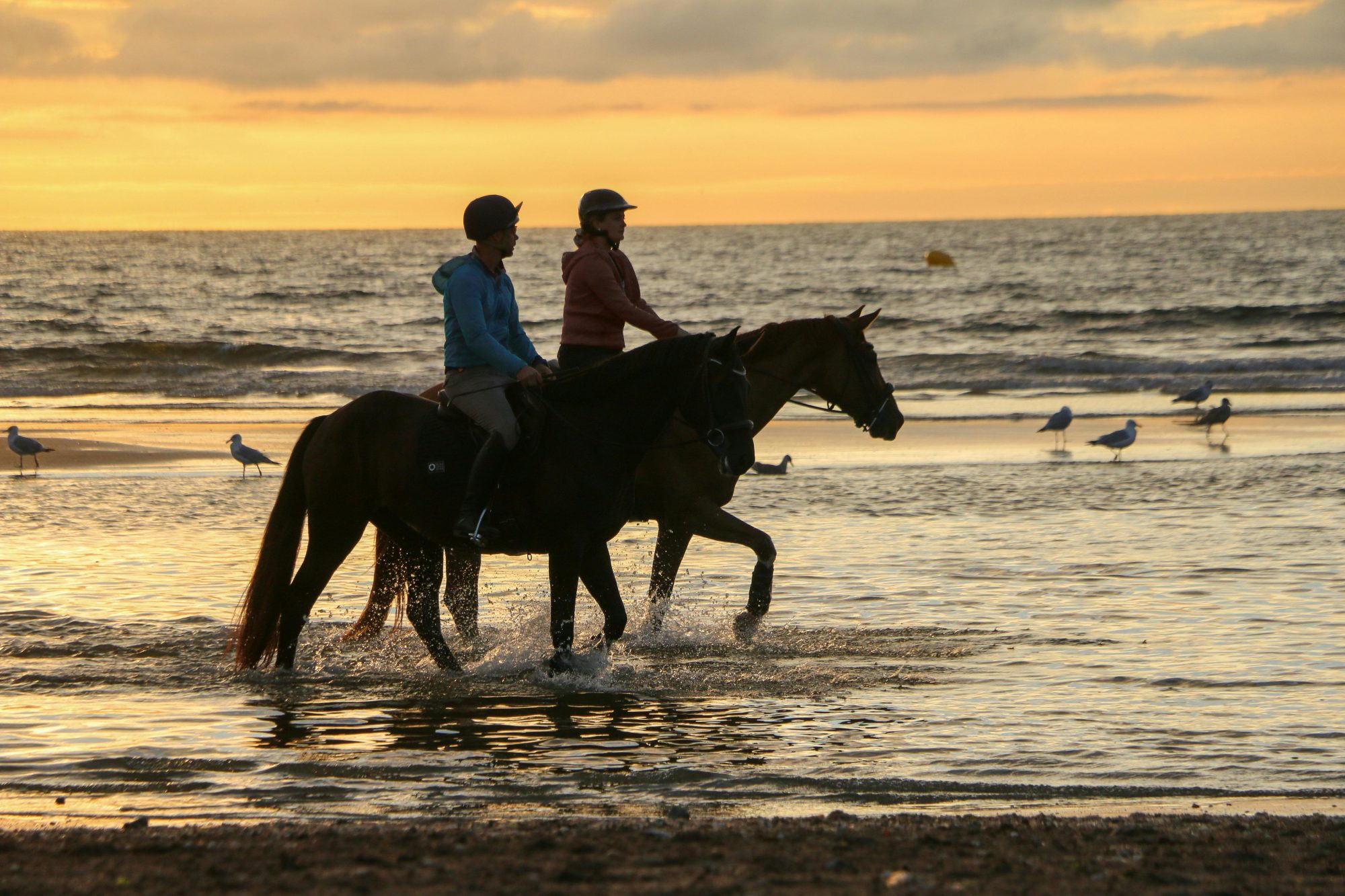 Beach riding