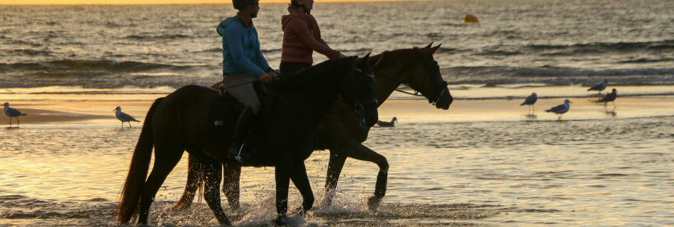 Beach riding