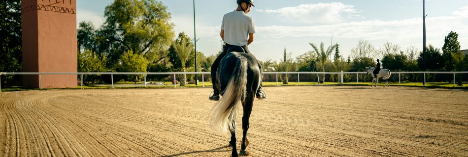 A rider practicing flatwork during an equestrian coaching session in a sand arena.