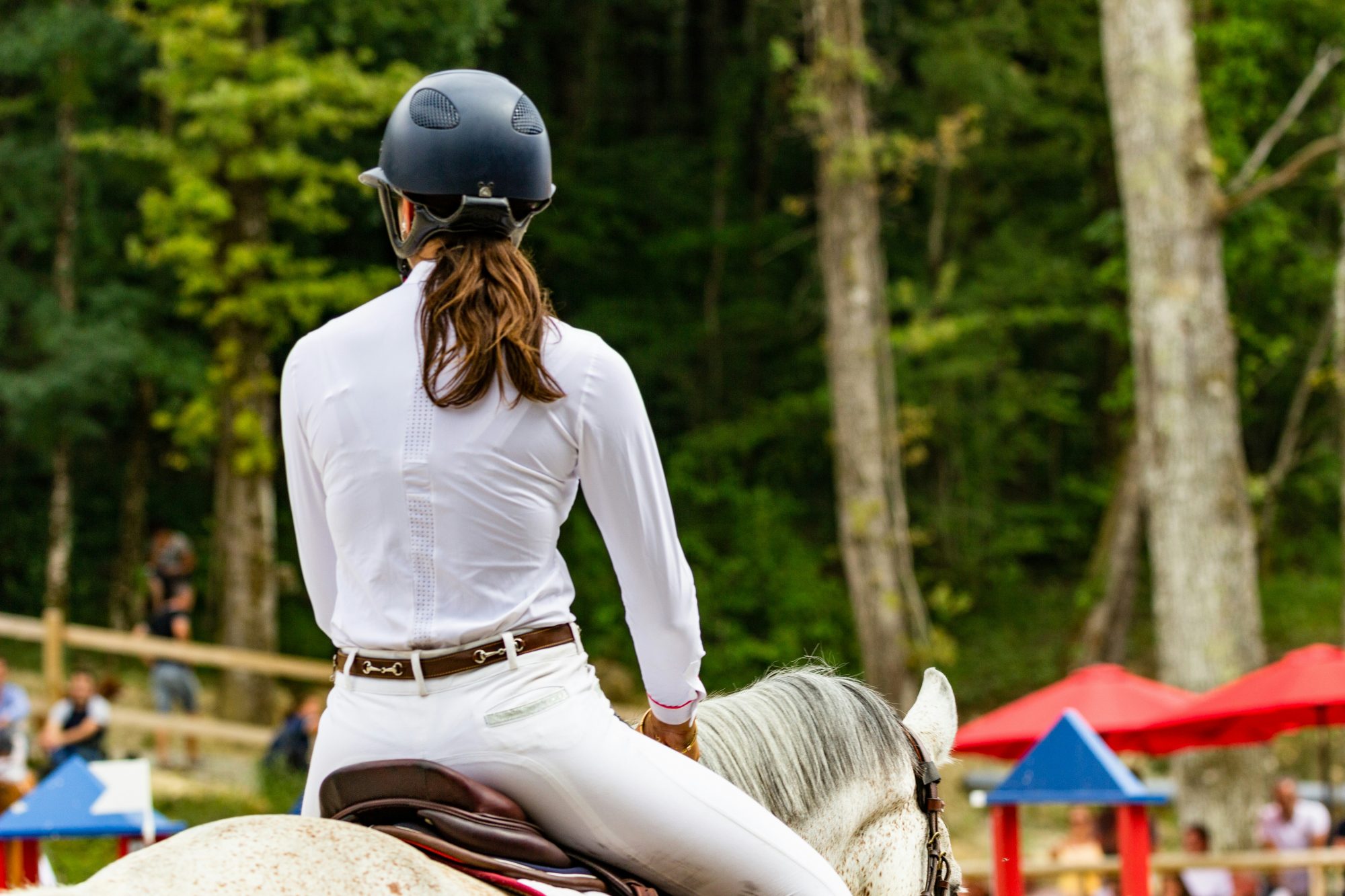 Horse rider in the saddle