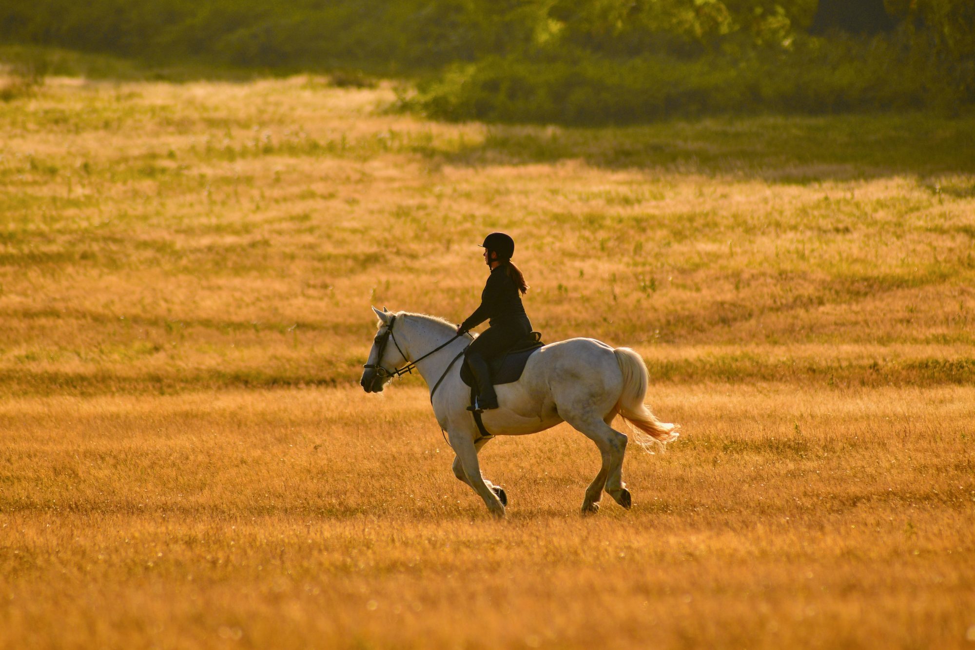 Photo of someone horse riding across a field