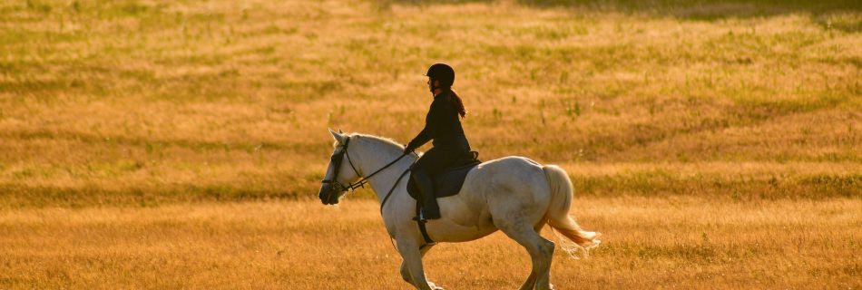 Photo of someone horse riding across a field