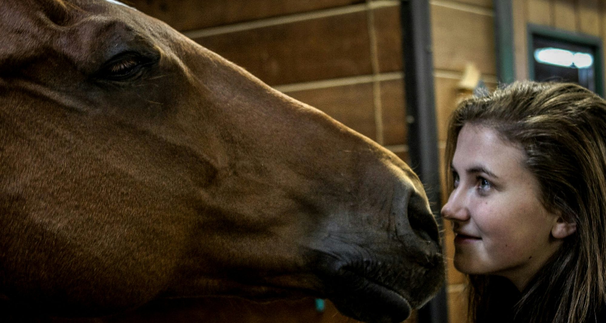 Close-up of a young person and a brown horse nose-to-nose in a barn, emphasizing a quiet, mindful connection.