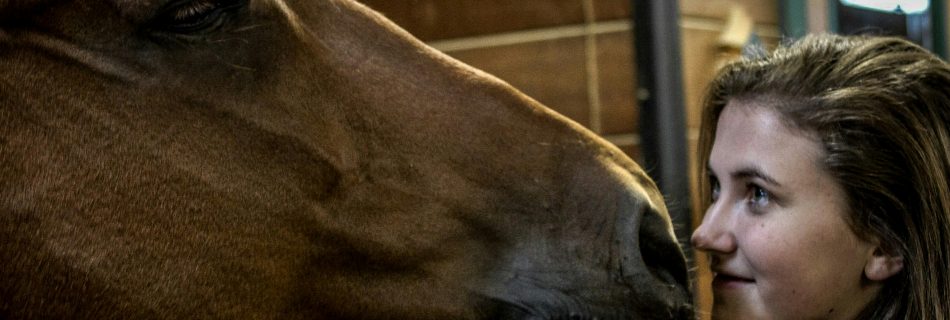 Close-up of a young person and a brown horse nose-to-nose in a barn, emphasizing a quiet, mindful connection.
