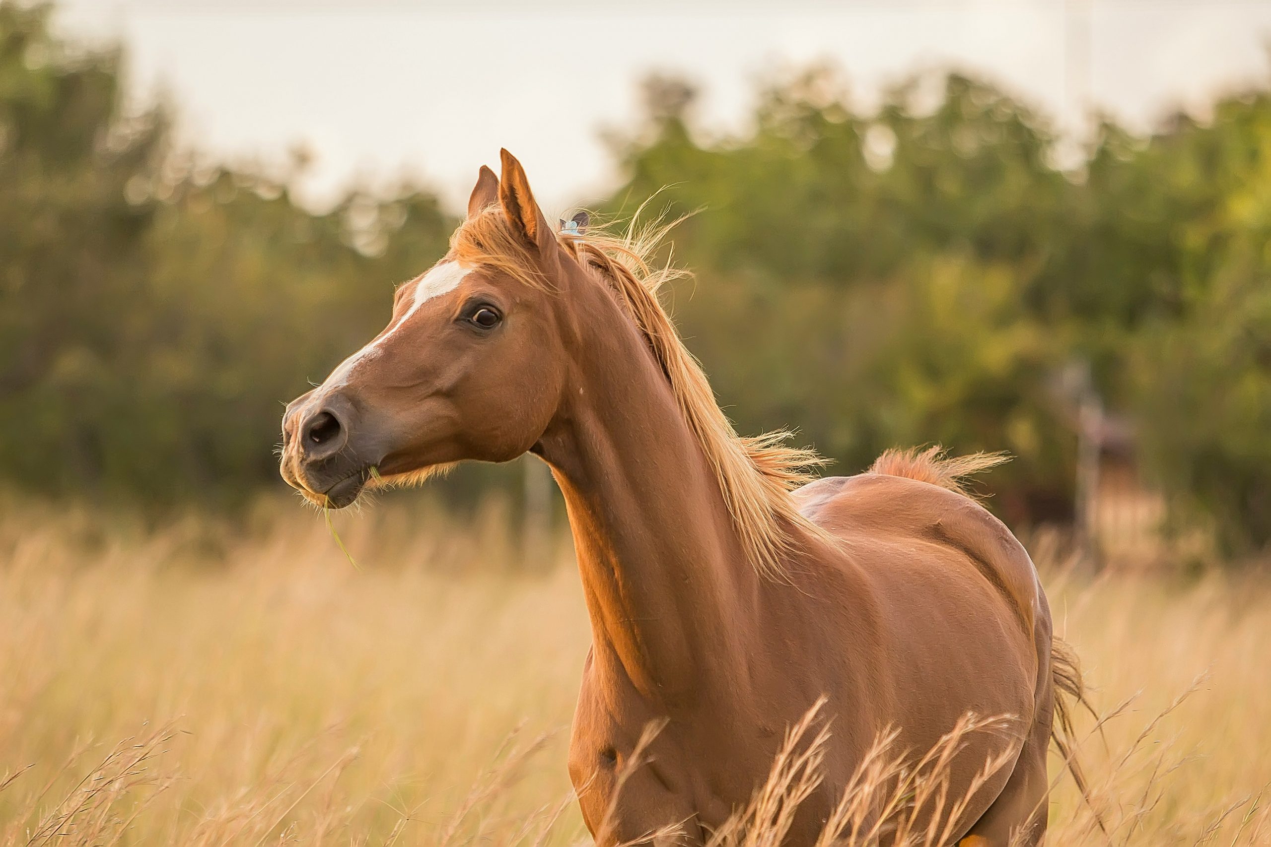 Riding in the Wind: 5 Strategies to Become a Calm Anchor