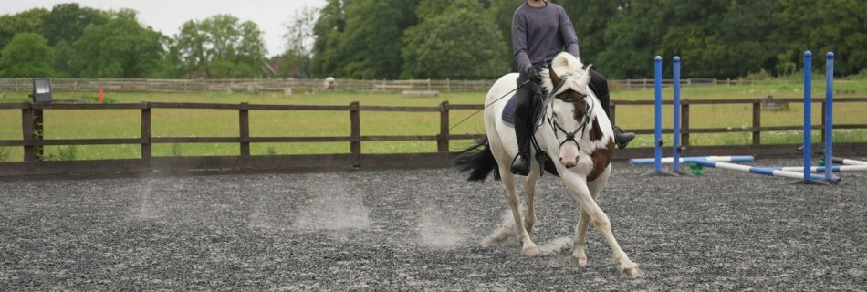 An horse and rider in an outdoor school, illustrating a rider working through mental blocks or tension while training.