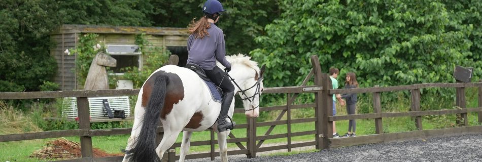 A rider on a skewbald horse working in an outdoor arena demonstrating non-linear progress.
