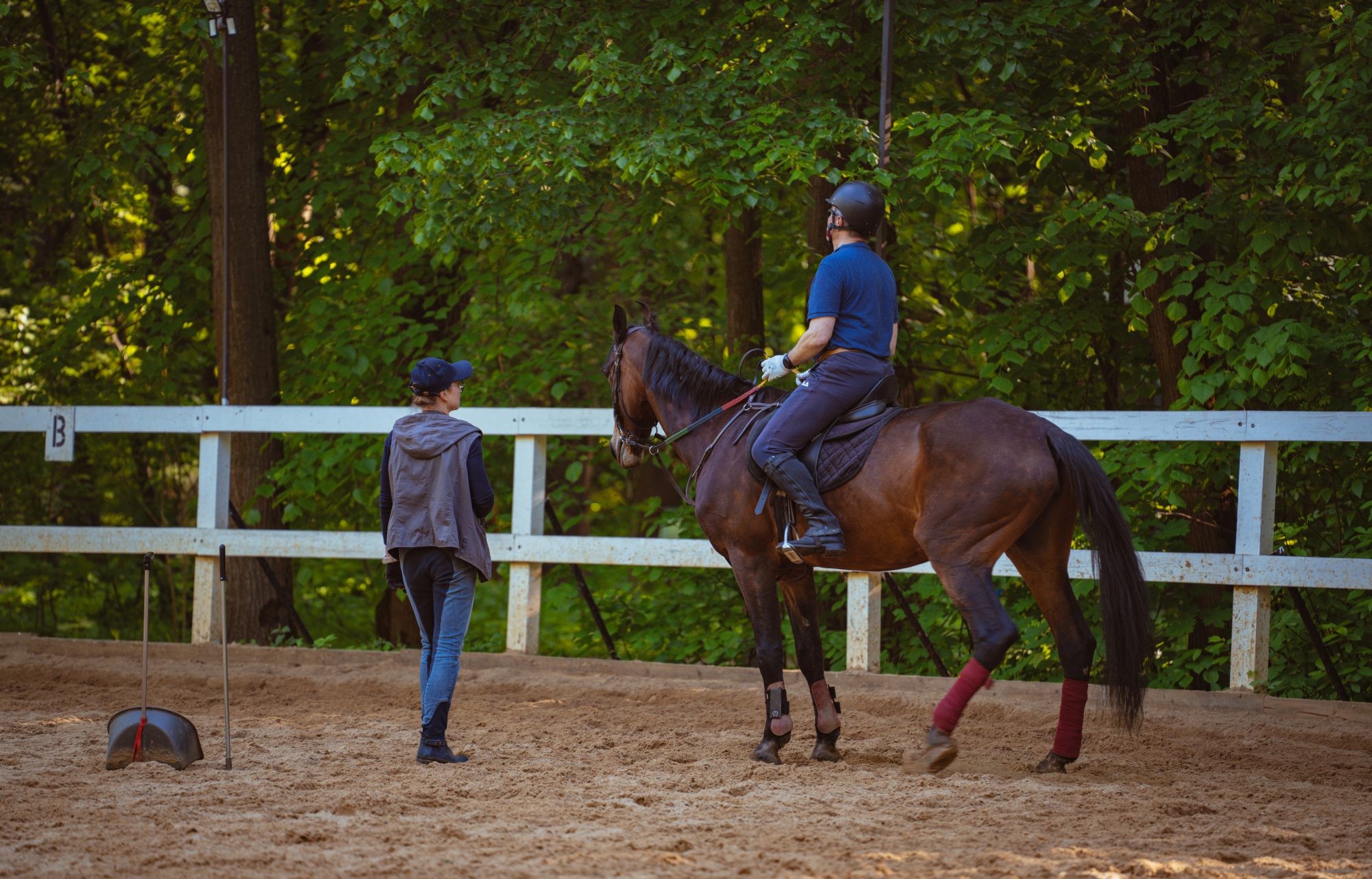 Equestrian coach working with a horse and rider during a professional riding lesson.