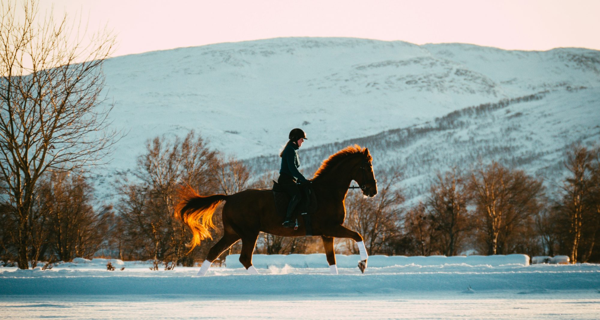 Horse and rider hacking out in deep snow at sunset, with a silhouette of mountains in the background.