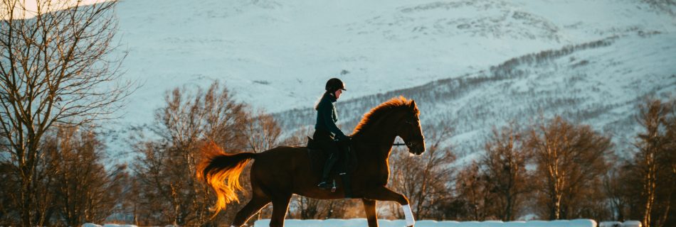 Horse and rider hacking out in deep snow at sunset, with a silhouette of mountains in the background.