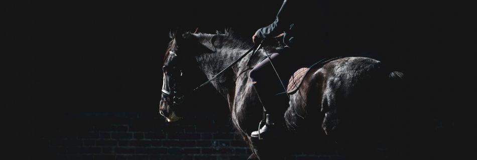 Equestrian Coach Gen Champion focuses on the technical and ethical approach of coaching.