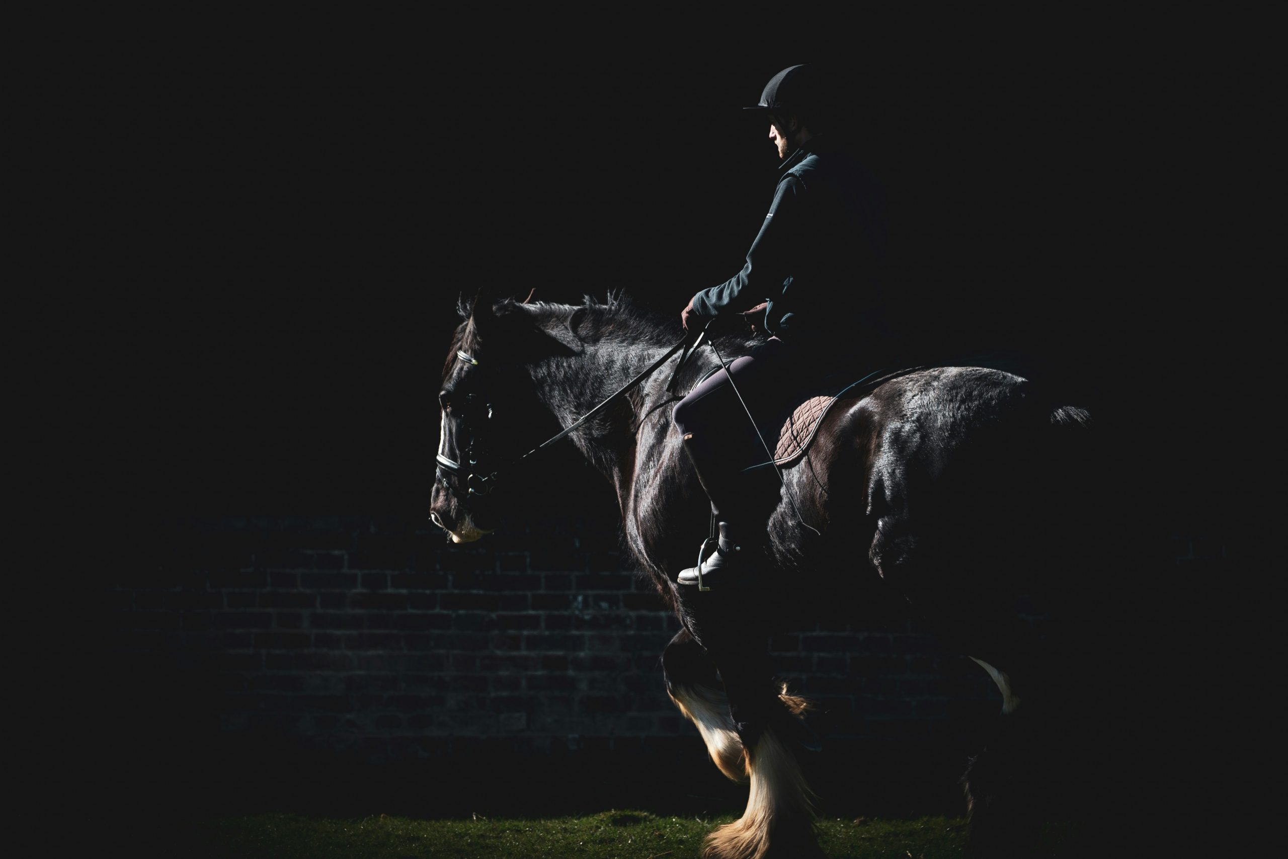 The Philosophy Behind the Name: Excellence in Equestrian Coaching
