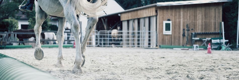 A rider demonstrating a long, draped leg and deep seat.