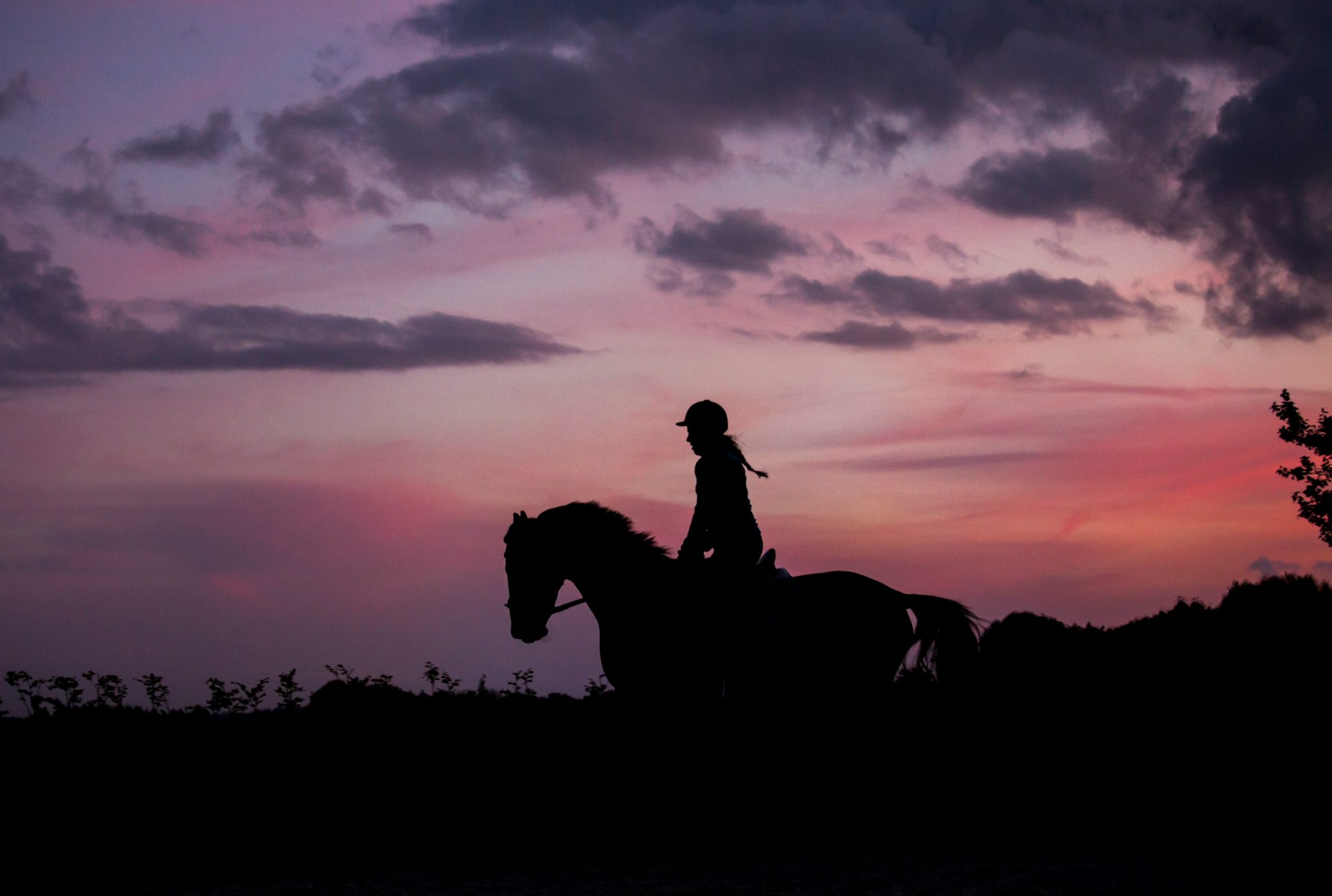 Silhouette of a rider against a deep sunset, representing mindset and confidence in the saddle.