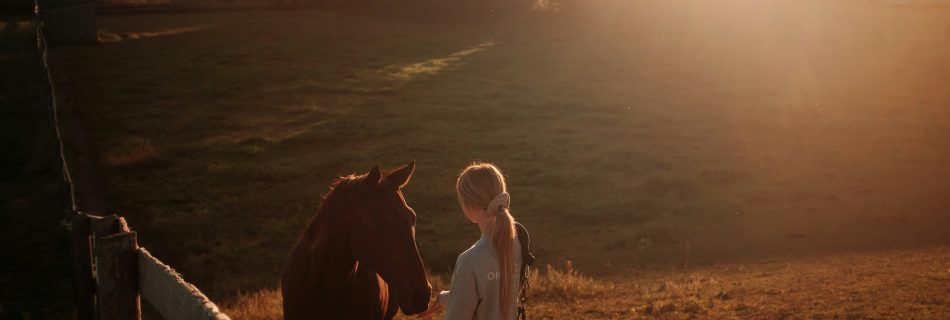 Rider connecting softly with a horse in a paddock at sunset, illustrating mutual trust and partnership in equine training.